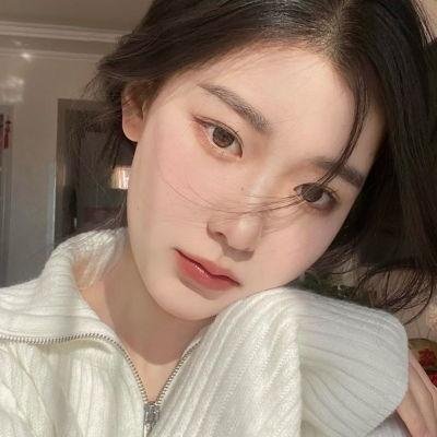 棕榈树森林